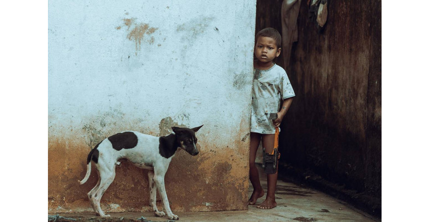 Jak rozpoznać depresję u psa i jak mu pomóc?
