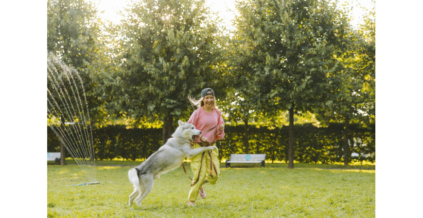 Pies skacze na ludzi – jak oduczyć tego zachowania?