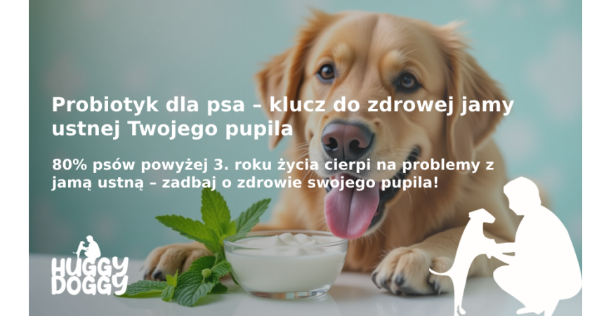 Jak stosować probiotyk dla psa, aby poprawić zdrowie jamy ustnej