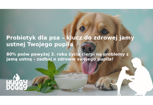 Jak stosować probiotyk dla psa, aby poprawić zdrowie jamy ustnej