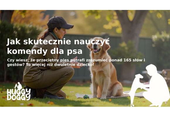 Jak skutecznie nauczyć komendy dla psa: Przewodnik krok po kroku