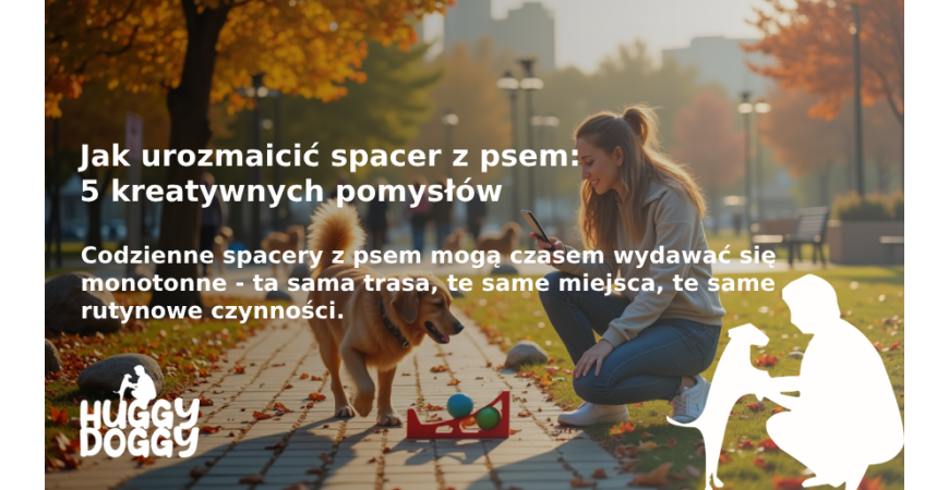 Jak urozmaicić spacer z psem: 5 kreatywnych pomysłów