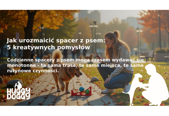 Jak urozmaicić spacer z psem: 5 kreatywnych pomysłów